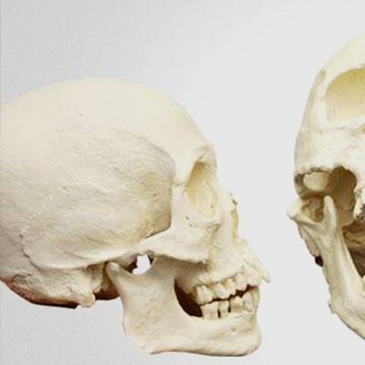 Smooth-Cast� 300 series